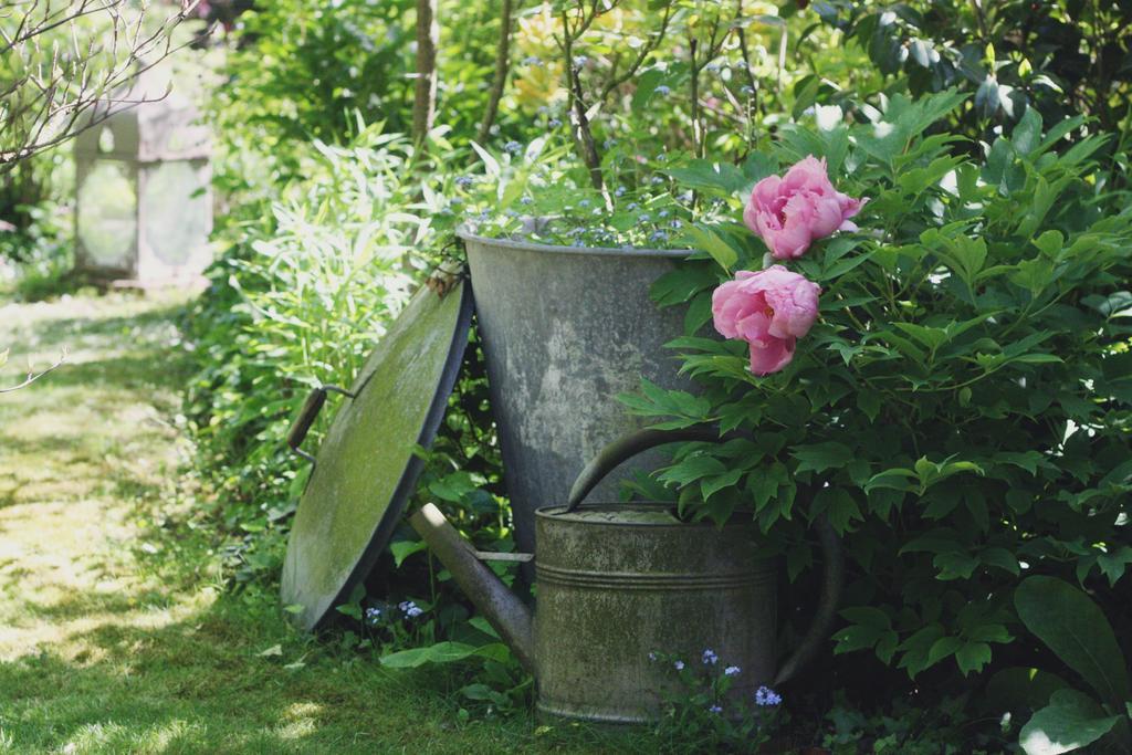 Lesmont Le Bonheur A La Campagne B&B 외부 사진