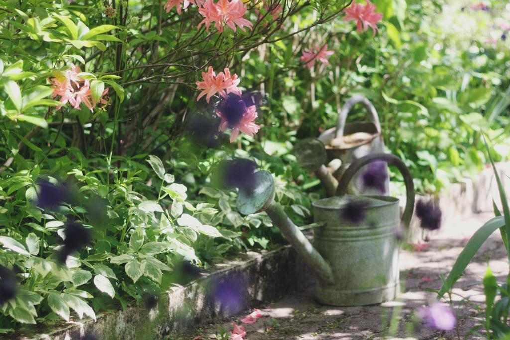 Lesmont Le Bonheur A La Campagne B&B 외부 사진